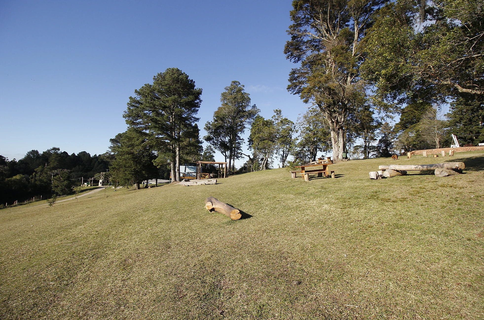 imagem: Prefeitura de Pelotas promove passeio gratuito para o Parque Stone Land