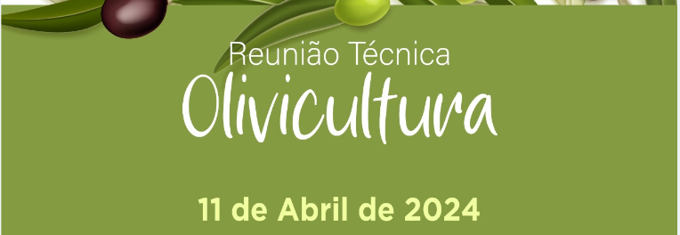 Capa do blog: Olivicultura é tema de reunião técnica na Cascata