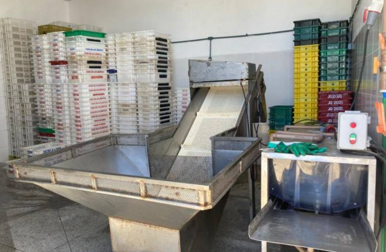 imagem: Nova agroindústria de pescado chega em Pelotas
